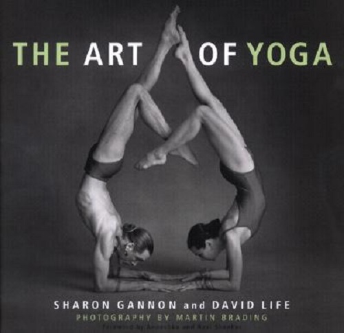 The Art of Yoga by Sharon Gannon,David Life